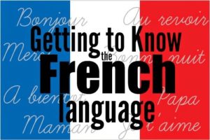 Intensive French Courses