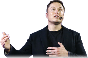 Elon Muck recommends IMMERSION PROGRAM - the best job oriented French course